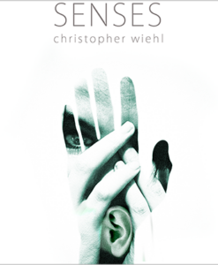 Senses (DVD and Gimmick) by Christopher Wiehl - DVD