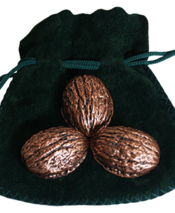 Copper Shells (Antique Copper)