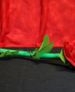 Break Away Rose by Mr. Magic - Trick