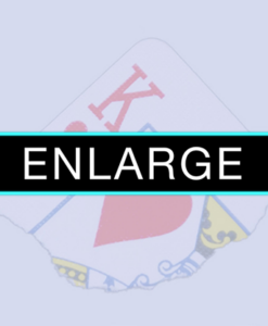 Enlarge (DVD and Gimmicks) by SansMinds - DVD