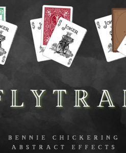 Fly Trap by Bennie Chickering