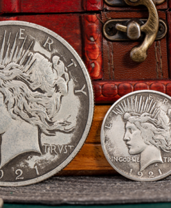 Mini Peace Dollar (Pack of 5 coins) by N2G