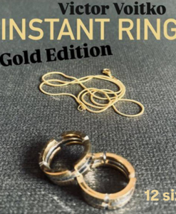 Instant Ring (silver/gold, Size 12) by Viktor Voitko