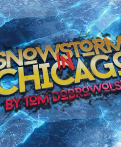 Bigblindmedia Presents Snowstorm In Chicago (Red) by Tom Dobrowolski