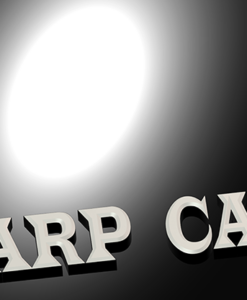 Sharp Card by Alain Vachon
