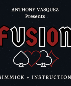 Fusion (Red) by Anthony Vasquez