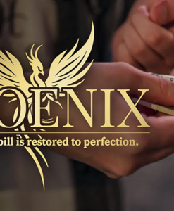 Phoenix by Higar and Hanson Chien (RMB China)