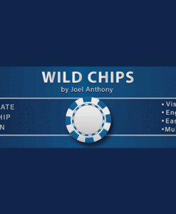 Wild Chips by Joel Anthony