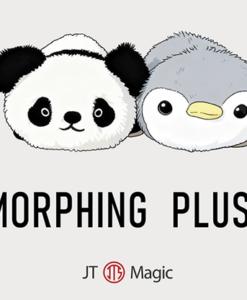 Morphing Plush (Panda to Penguin Grey) by Jackie Zhao and JT Magic