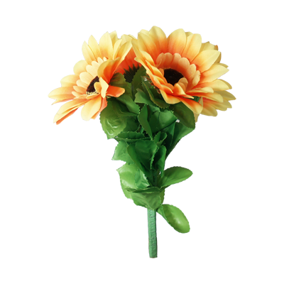 amazingsplitsun-full.png