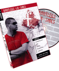 Bootlegs and B-Sides - Volume 2 by Sean Fields - DVD